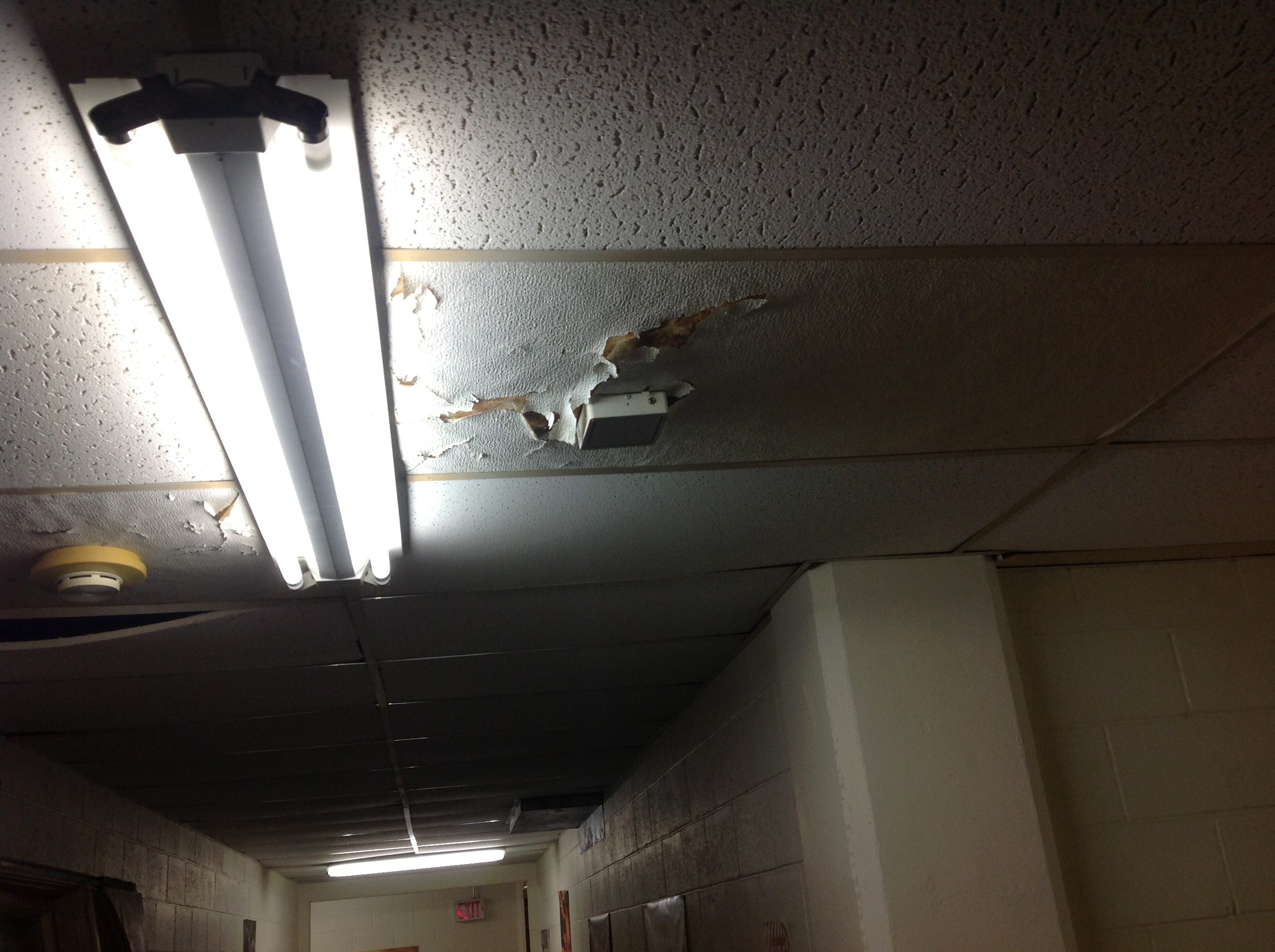 Ceiling tiles quite possibly exhibiting signs of moisture damage.